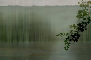 AMAZZONIA
