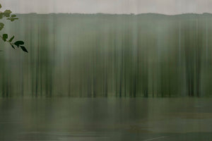 AMAZZONIA