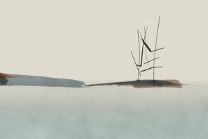 AOMORI
