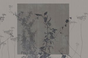 ARBOR VITAE