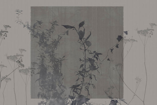 ARBOR VITAE