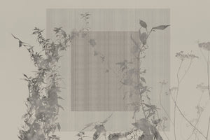 ARBOR VITAE