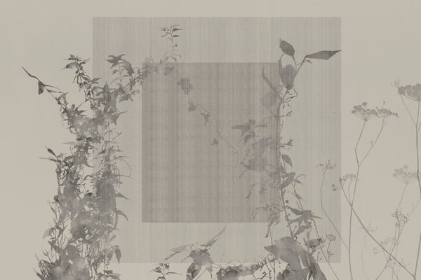 ARBOR VITAE