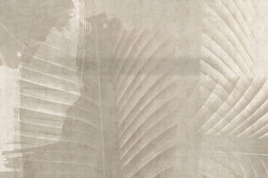 ARECA