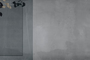 BALANS