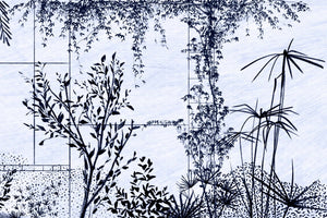 BOSCO SILENTE