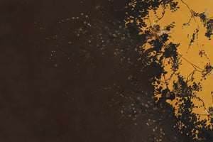 CALLISTO