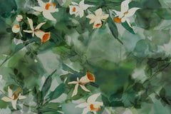 DAFFODIL DREAM