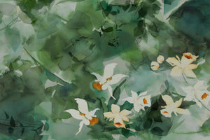 DAFFODIL DREAM