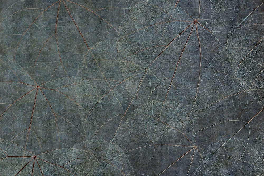EQUINOX
