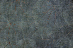 Sample EQUINOX