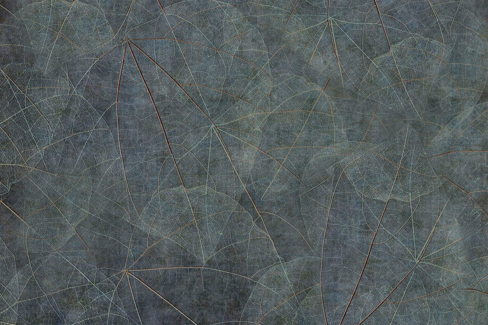 EQUINOX