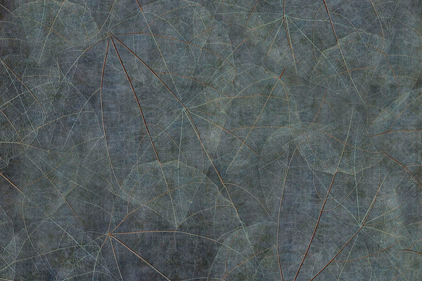 EQUINOX