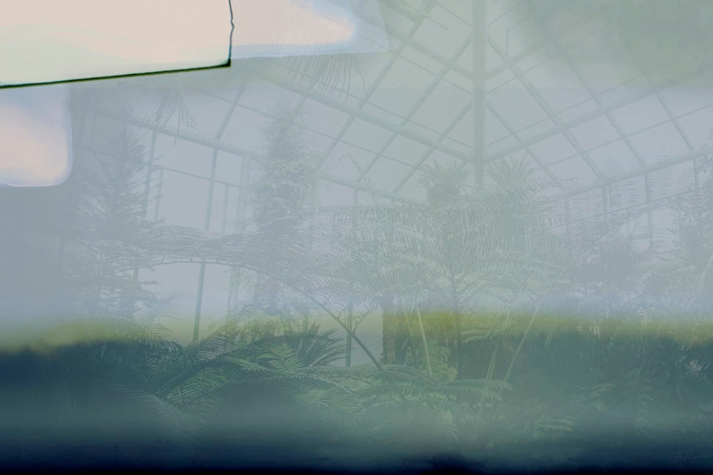 GREENHOUSE