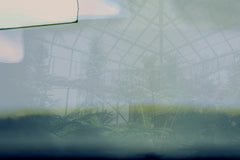 GREENHOUSE