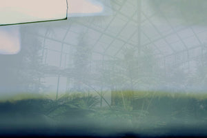 GREENHOUSE