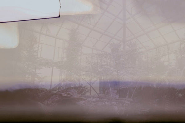 GREENHOUSE