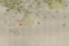 HANAMI