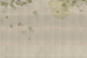 HANAMI