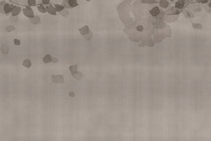 HANAMI