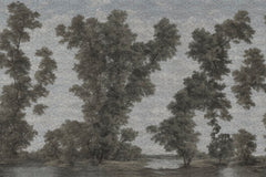 L' ISOLA DEGLI ALBERI