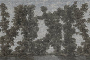 L' ISOLA DEGLI ALBERI