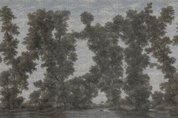 L' ISOLA DEGLI ALBERI