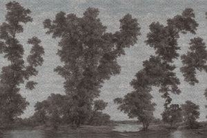 L' ISOLA DEGLI ALBERI