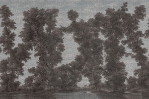 L' ISOLA DEGLI ALBERI