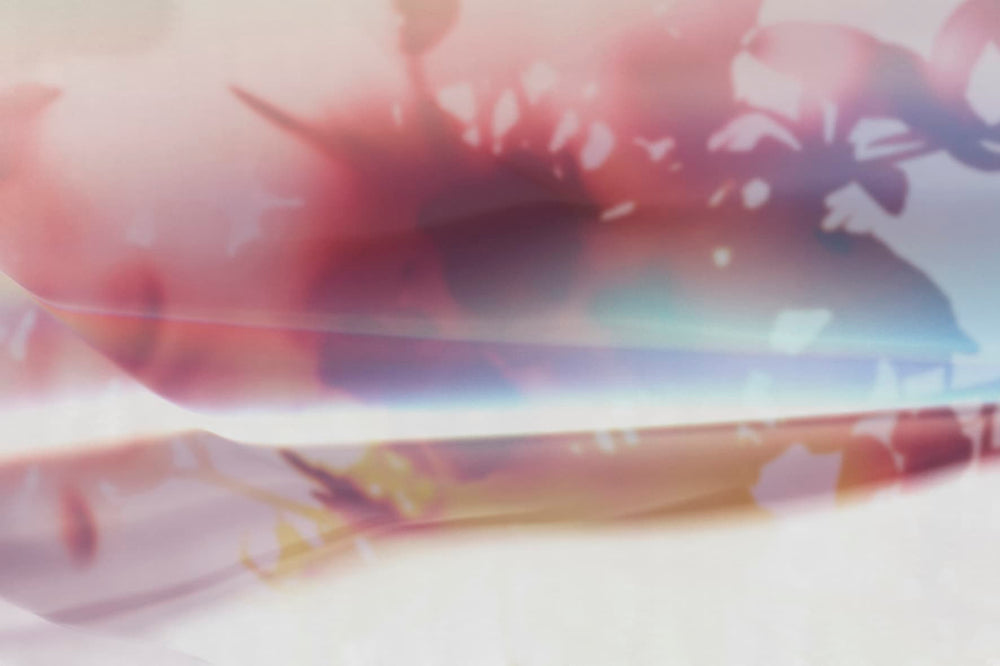LUCID DREAM
