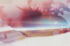 LUCID DREAM