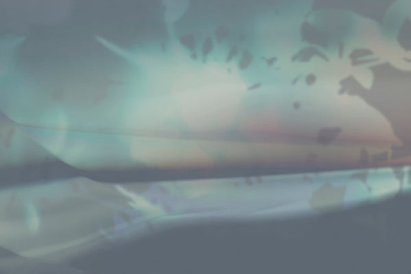 LUCID DREAM