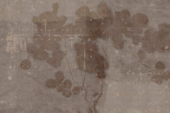 LUNARIA