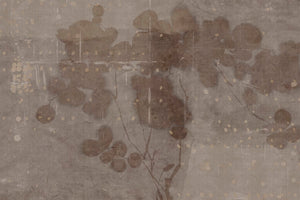LUNARIA