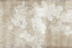LUNARIA