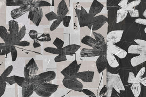 MAGNOLIAS