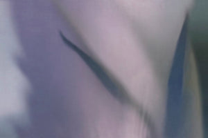 NARCISO
