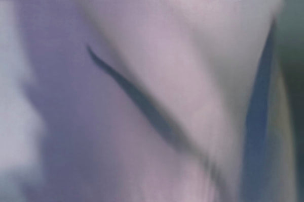 NARCISO