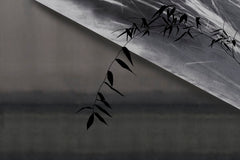 NEL SILENZIO DELL'ACQUA