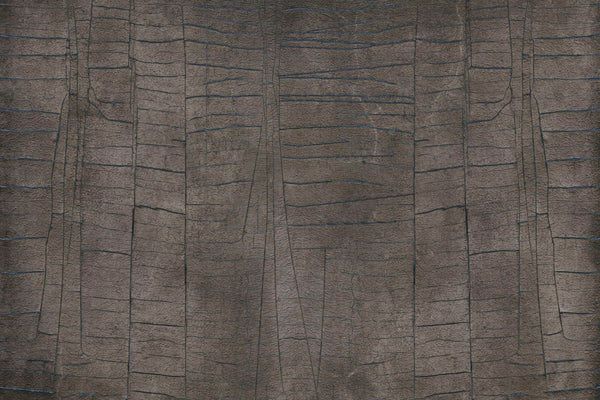 PENOMBRA
