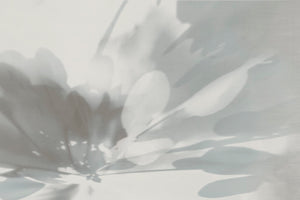 PRESENCE