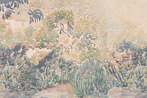 RIO SOLITARIO