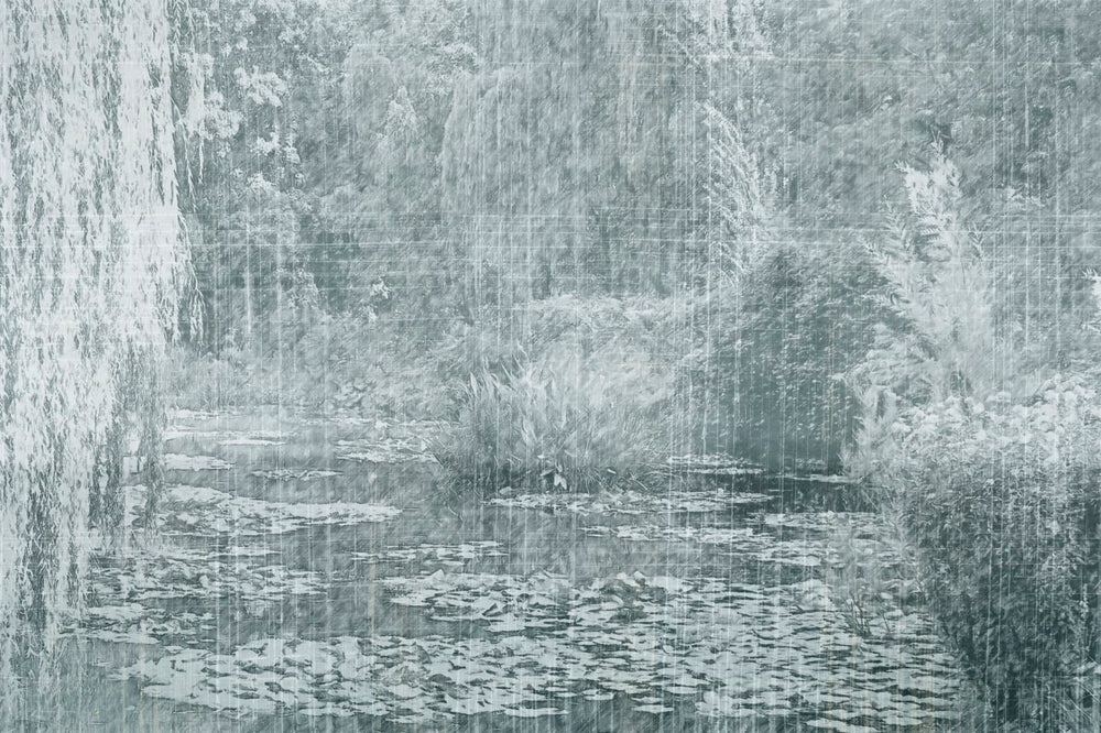 SELVA