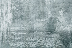 SELVA