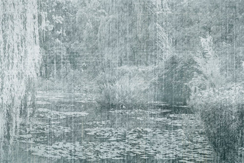SELVA