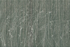 SIDERITIS