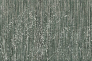 SIDERITIS