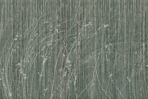 SIDERITIS