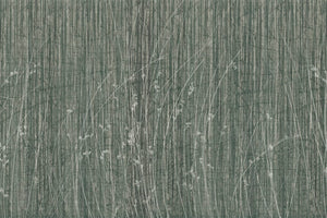 SIDERITIS