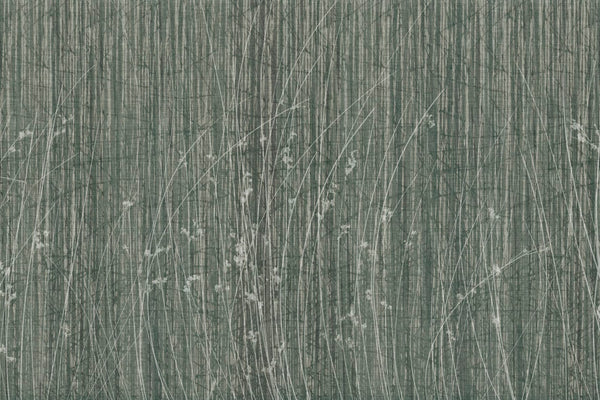 SIDERITIS